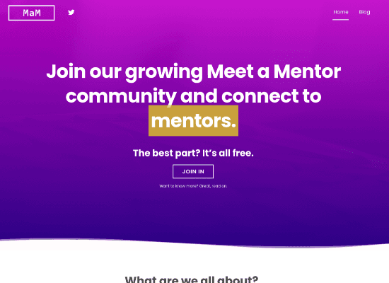 meet a mentor